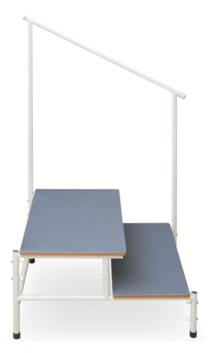 MEDICAL DOUBLE STEP STOOL WITH HANDLE RAIL