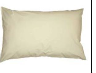 TASK PVC Pillow