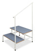 MEDICAL DOUBLE STEP STOOL WITH HANDLE RAIL